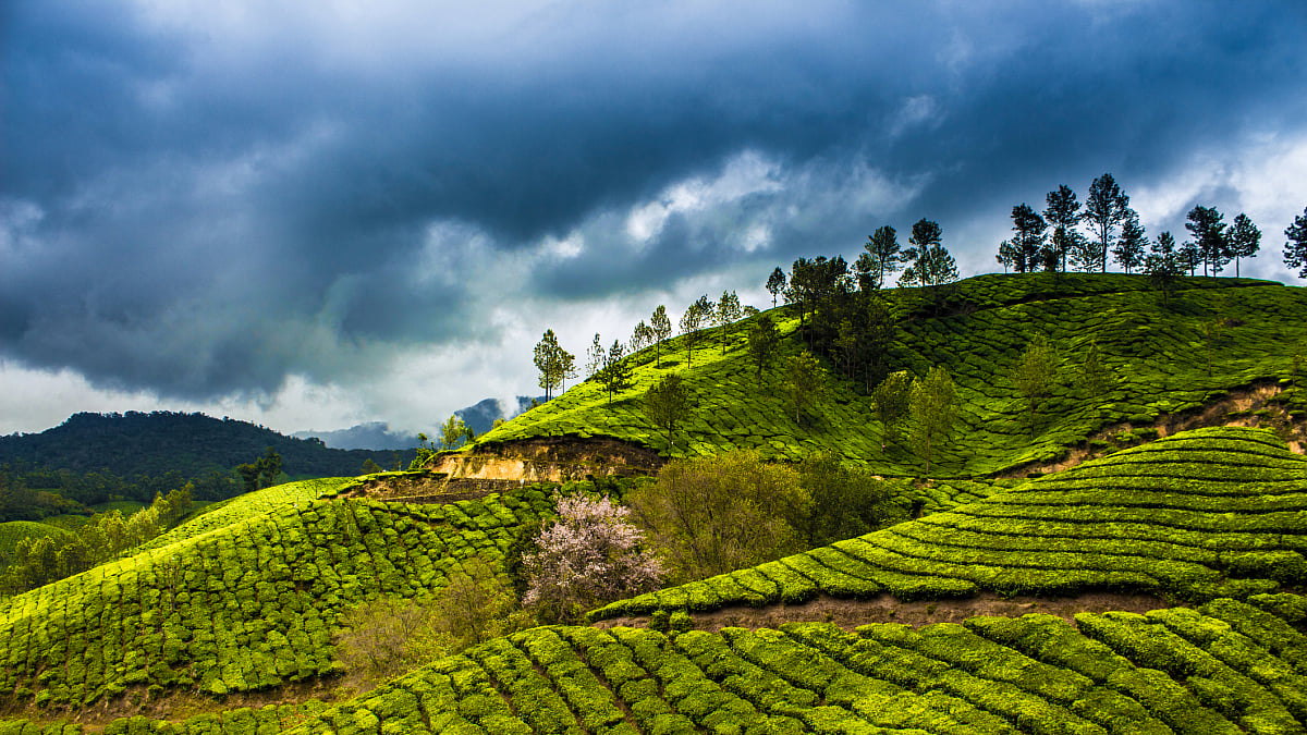 turbulent weather condition