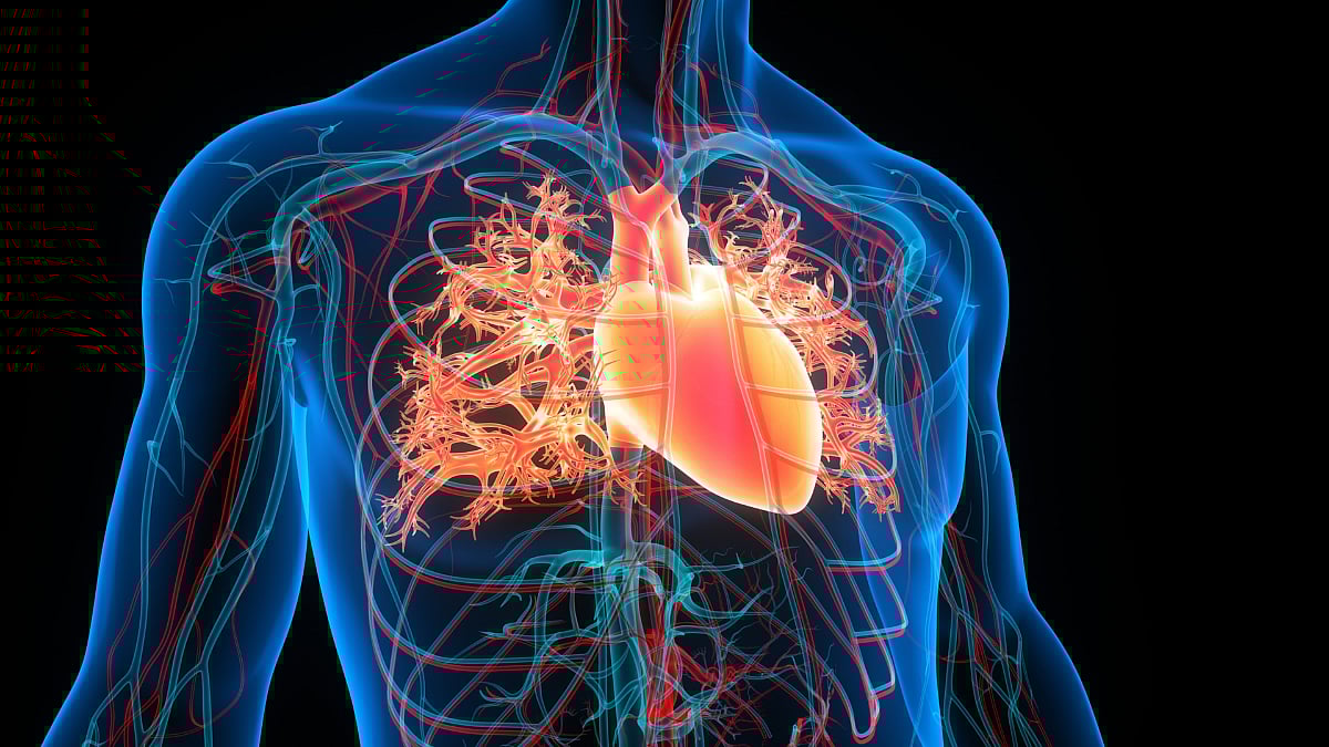 good for heart health