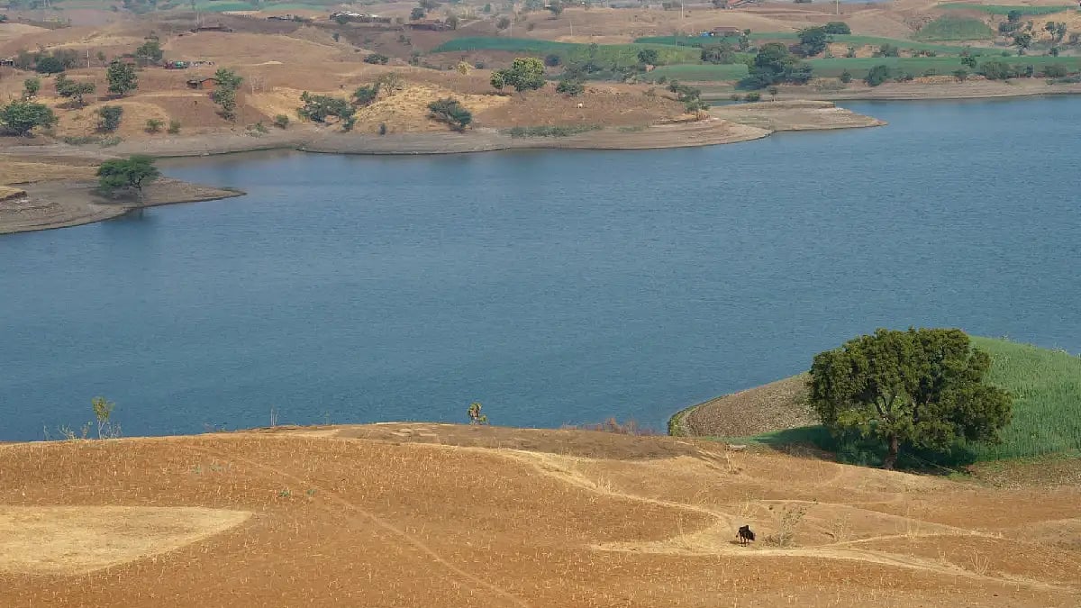 River and tree, nature scene 