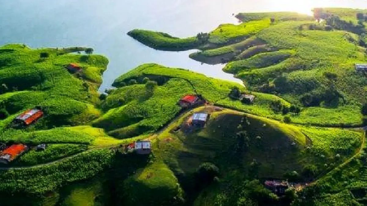 green and nature and river 