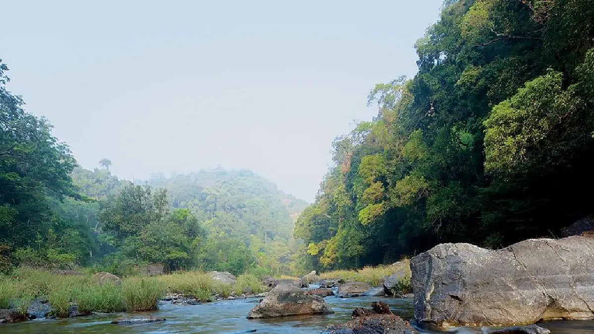 river and mountain and nature vibes 