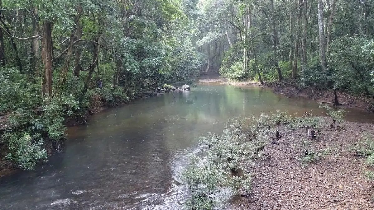 river and mountain and nature vibes 