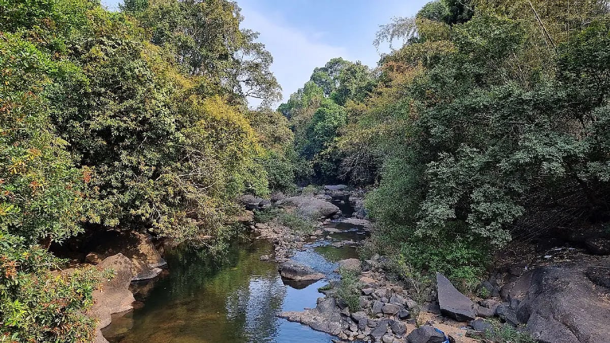 river and mountain and nature vibes 
