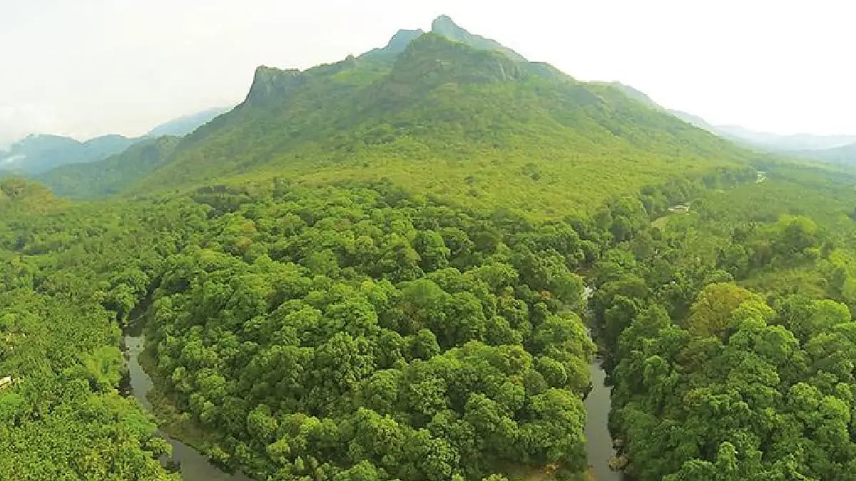 river and mountain and nature vibes 