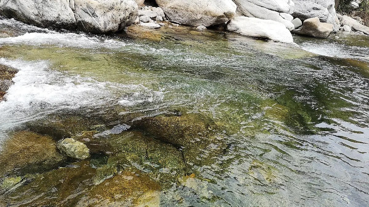 river and nature vibes 