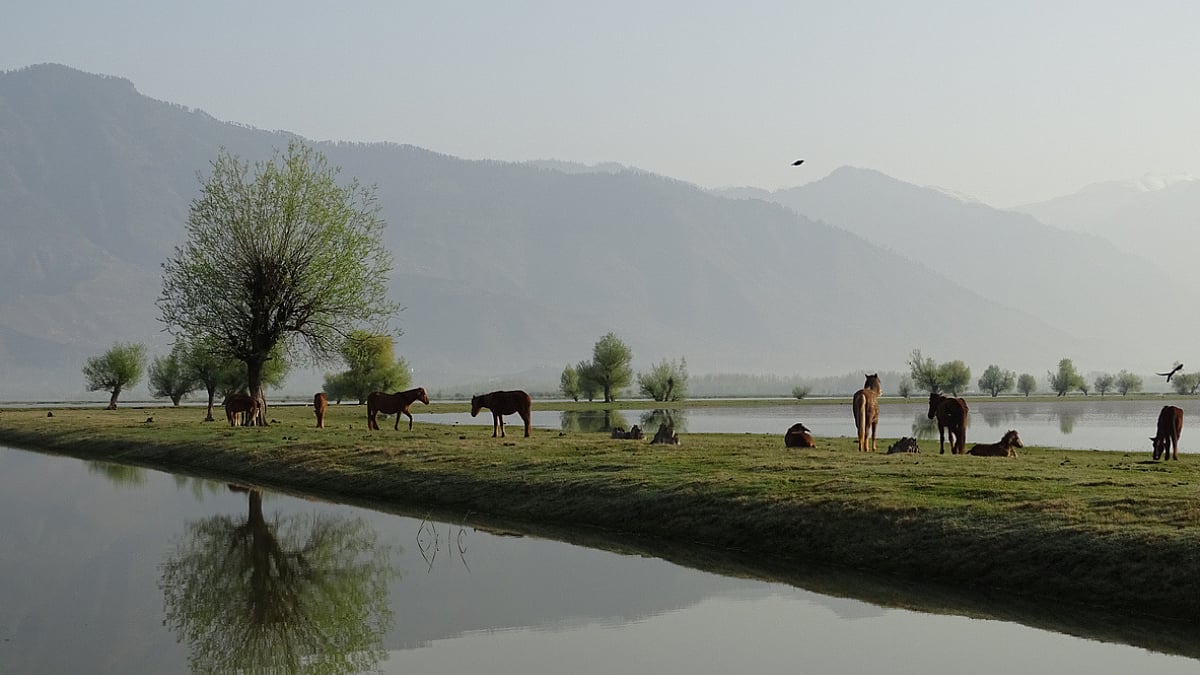 wular lake