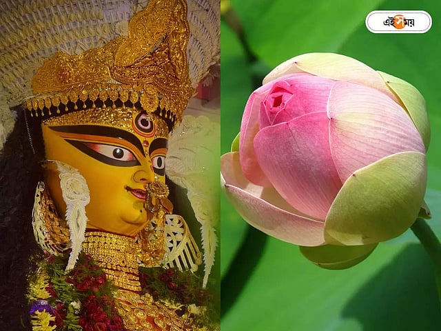 Succubus porno filmini onlayn tomosha qiling