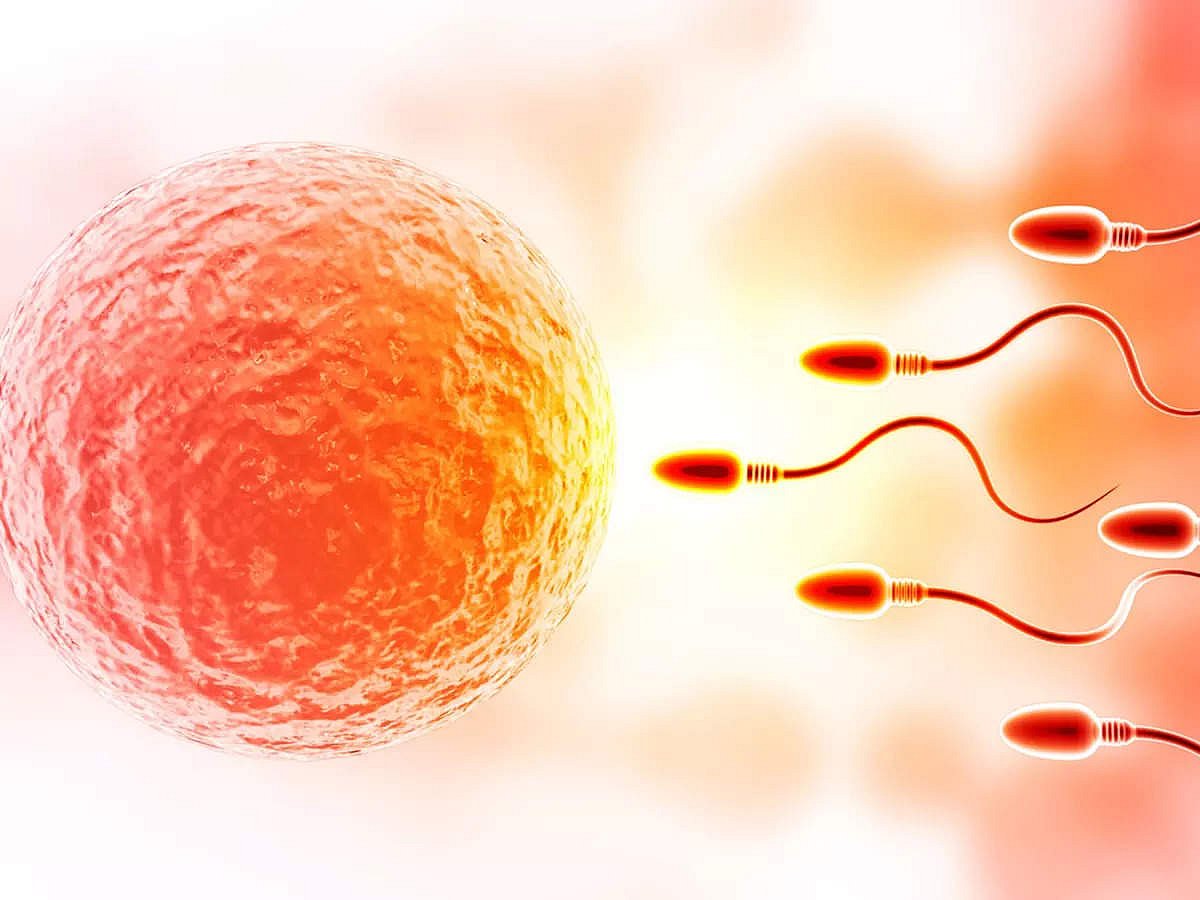 Lezbiyan nazoratchisi