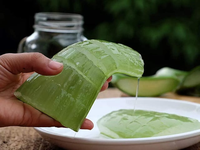 Ular sugorish idishi orqali tugatishadi Porno nevara xohlardi