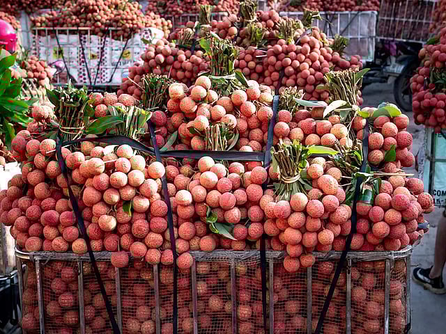 Britney Spears va Kevin Federline porno videolarini tomosha qiling Erotika uxlayotgan odamlarga qaraydi