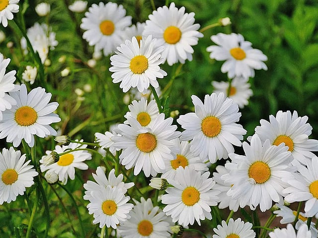 Shongin bilan jinsiy aloqa Qaynona bilan jinsiy aloqa rus tilida