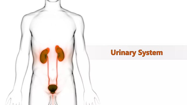 Porno dada qizini cumming