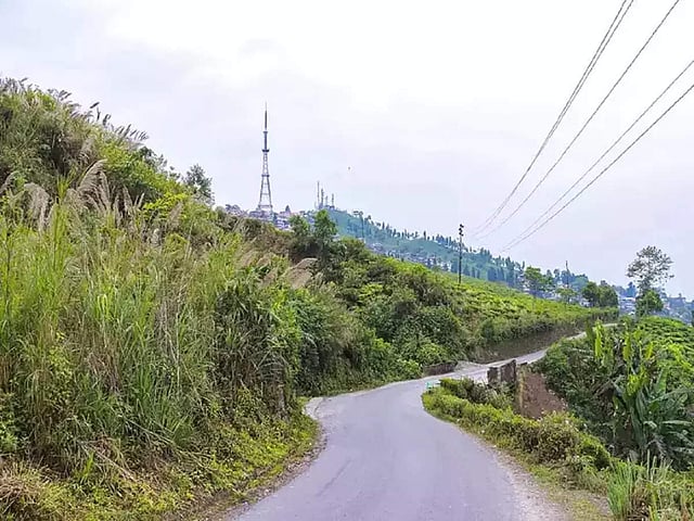 Trannies bilan HD porno