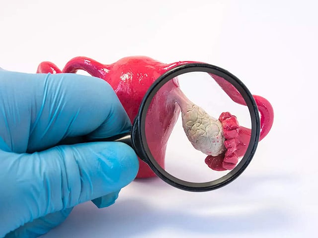 Lezbiyen rieltor Nessa Shine porno tomosha qiling