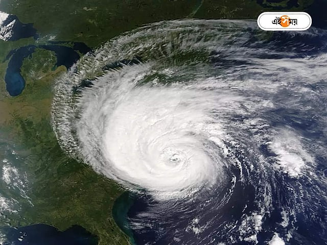 Qora tanli fohishani yollash