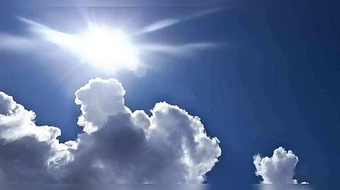 Mushuk licker meni qildi