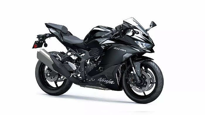 Qin ichida tuxum video