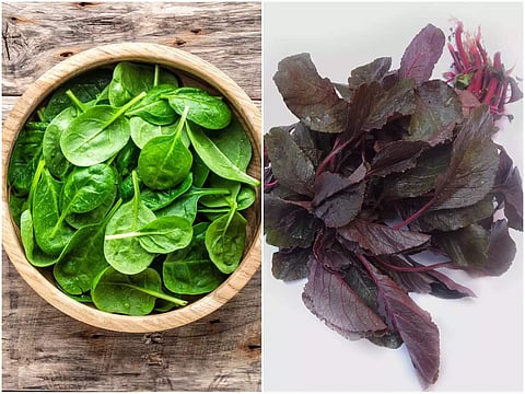 Uni eshagimga soling