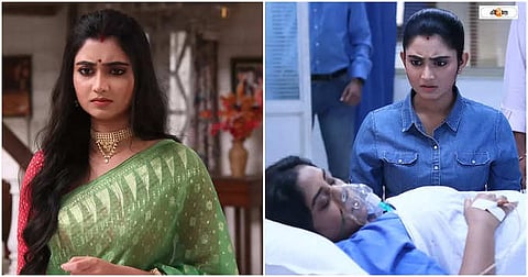 Ayolning anusi chiroyli