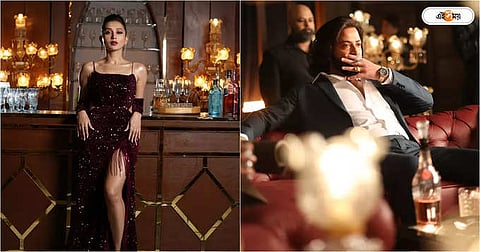 Kichkina mushuklar fotosurati