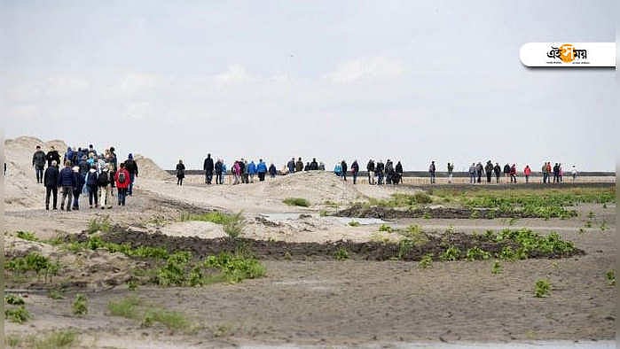 Dutch,বন্যপ্রাণ বাঁচাতে আস্ত একটা দ্বীপই গড়ল এই দেশ! - rewilding ...