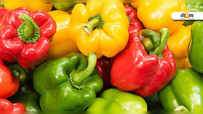 Erotik italyan filmlar onlayn