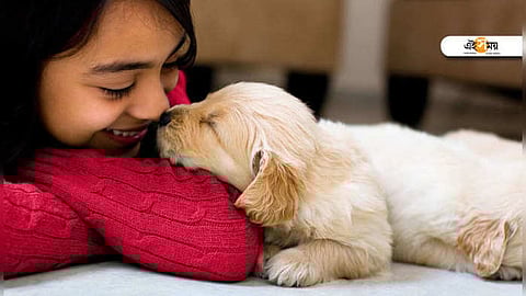 Jinsiy aloqa uchun Kropotkindagi ayollar