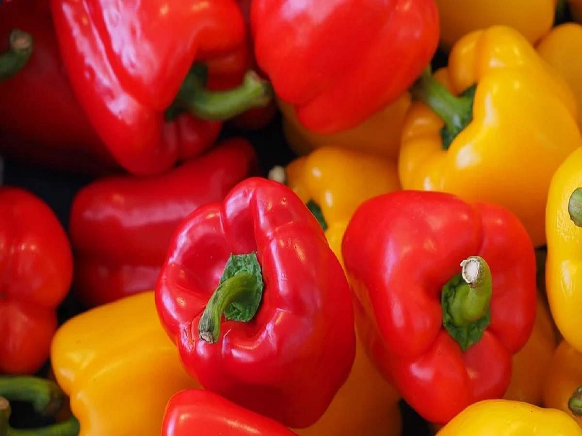 Ternovkada ruscha seks tomosha qiling