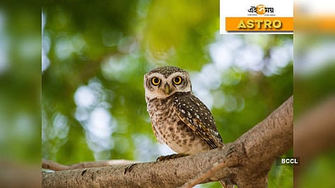 Krivoy Rogda tungi jinsiy aloqa