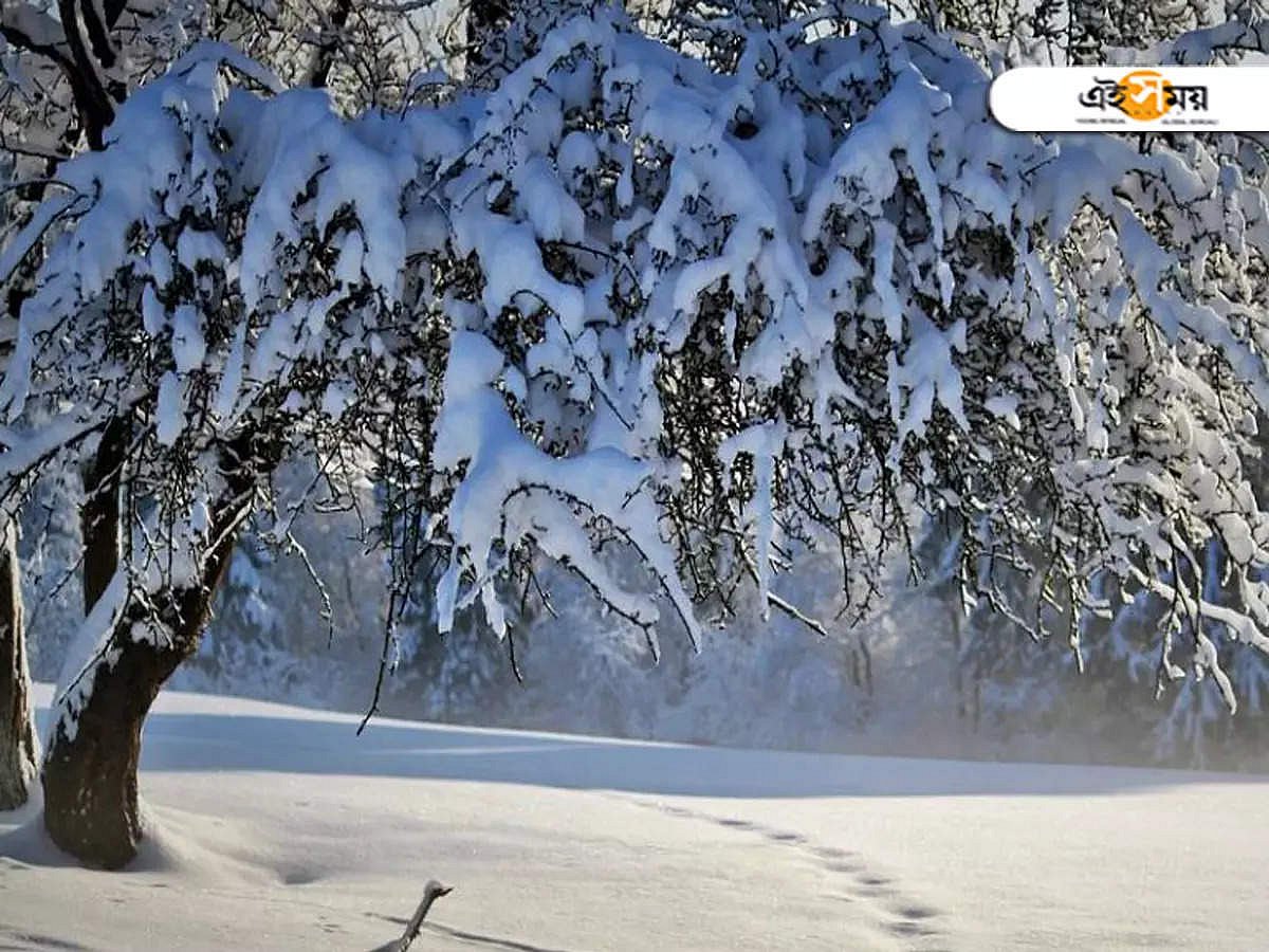 Kinoda rus yulduzlarining porno videolarini tomosha qiling