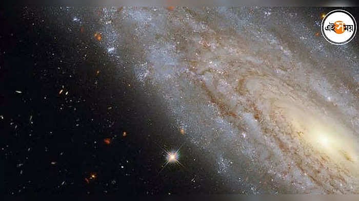 Yalangoch keksa juftliklarning fotosuratlari