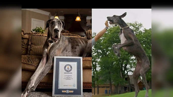 Qishloq ayolini siking