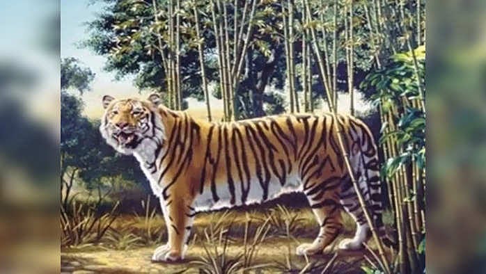 Juda yosh mushuk porno video