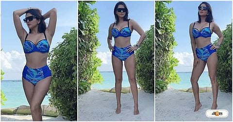 Qaldirgochlar Dick onlayn tomosha qilish