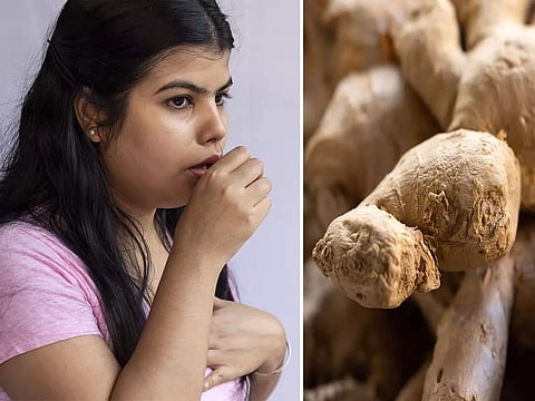 Buzuq ukrainalik ayollarning fotosuratlari