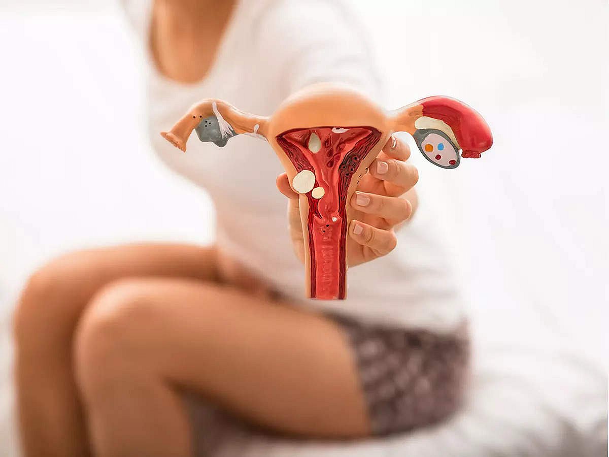 Lezbiyenlarning mushuklarini ishqalayotganini onlayn tomosha qiling