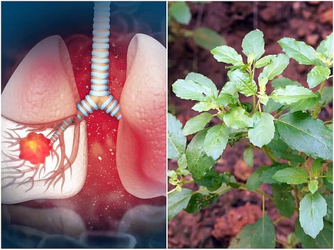 Eng chiroyli porno aktrisa