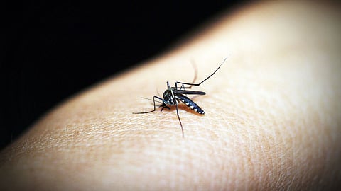 ಮಾನವ ಇತಿಹಾಸದ ಅತ್ಯಂತ ದೊಡ್ಡ ಹಂತಕ ಒಂದು ಸಾಂಕ್ರಾಮಿಕ ಕಾಯಿಲೆ!