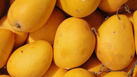 Mango: The Correct Way to Eat This Summer Delight