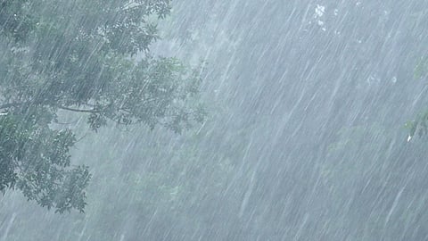 Rain Update