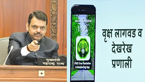Devendra Fadnavis Announce to Plant 10 Crore Trees in Maharashtra in This Year