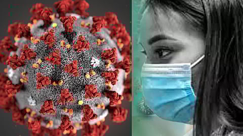 Maharashtra Reports 114 New COVID-19 Cases in a Day