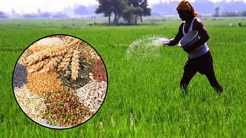 Marathwada's Kharif Season: Farmers Opt for Short-Duration Crops Amid Climate Concerns