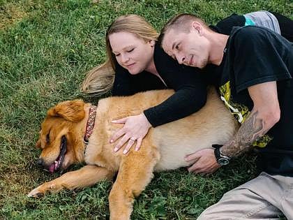 Essential Tips for Keeping Your Pets Healthy During Monsoon