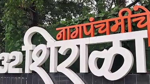 Battis Shirala live snakes seen on the occasion of Naga Panchami