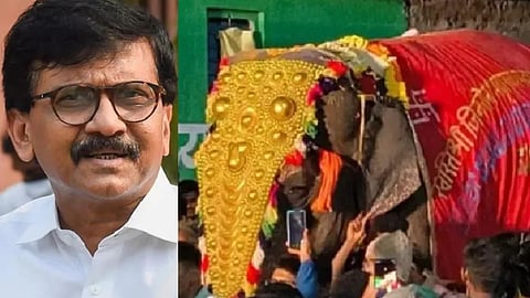 Saamana Editorial Reacts to Mahadevi Elephant in Kolhapur