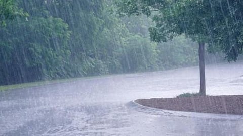 Rain Update