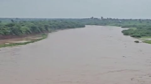 Vidarbha Rain Update: Torrential Downpour Havoc; Transport Disrupted, Crops Damaged