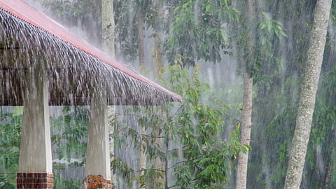 Maharashtra Heavy Rain: District-wise Alerts Announced
