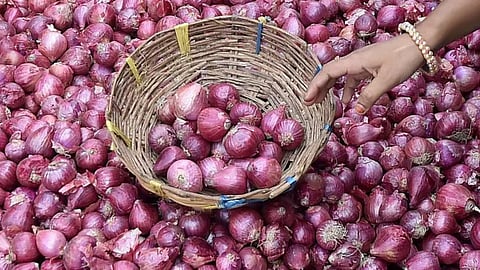 One kg onion for Rs 24 in Mumbai; Central government launches scheme